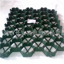 亮泰出品-高环保高绿化植草格9935A