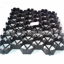 亮泰全国供应园林绿化植草格、边坡绿化植草格