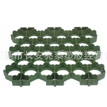 亮泰现货植草格植草砖植草坪厂价出售