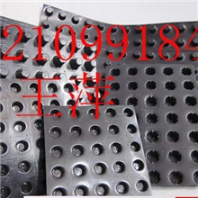 2013年排水板火爆促销中排水板厂家批发