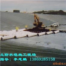 厂家供应优质膨润土防水毯膨润土复合防水毯