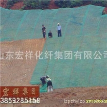 供应销售三维土工网垫,复合排水网三维植被网三维排水网