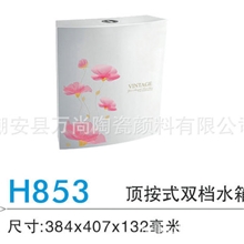 专业供应双档水箱顶按式双档水箱蹲便器水箱
