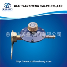 厂家专业生产液化气减压阀（TS-21）