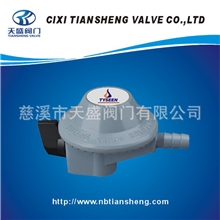 厂家供应价廉物美燃气减压阀（TS-50）