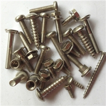 【量大价优欢迎订购】厂家直销供应不锈钢家具螺丝