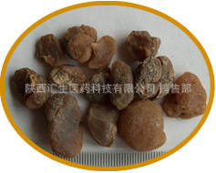 汇生医药供应天然优质土贝母提取物5:110:1