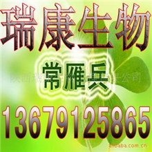 优惠供应黄柏提取物(图)