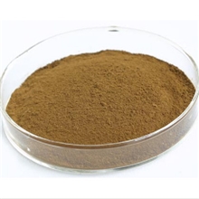 黑升麻提取物专治关节炎骨质疏松厂家现货低价供应