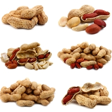 植提专业厂家供应木犀草素