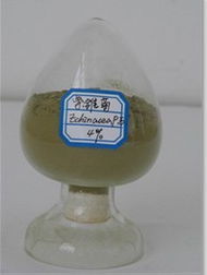 西安博弈生物供应植物提取物紫锥菊多酚（欢迎咨询）