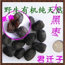 批发供应特级野生有核君迁子大黑软枣入药专用糖尿病克星