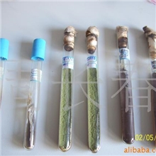 酱油曲精、食醋曲精、酱油、调味品、曲精、曲种、种球（图）