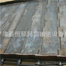 供应山东优质链板平顶链不锈钢链板镀锌链板链板输送带