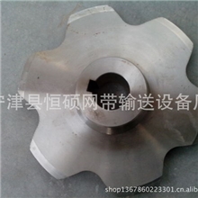 碳钢链轮不锈钢链轮输送带配套链轮供应商