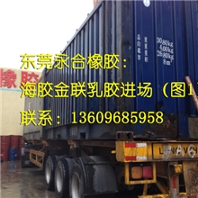 供应国营金联天然乳胶/亚么尼亚胶一桶起批