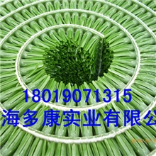 淘金草、吸金草、固金草、粘金草（DK增金王）