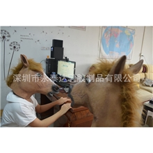 厂家供应创意搞怪面具化妆舞会头套美国原装马头模具