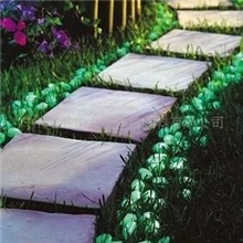 供应夜光母粒、紫外線感光變色母粒