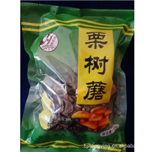 野生栗树蘑怀柔特产