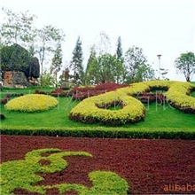承揽园林绿化设计、绿化施工、园林绿化工程