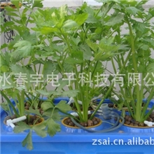 阳台种菜盆箱式无土栽培系统阳台菜园菜盆