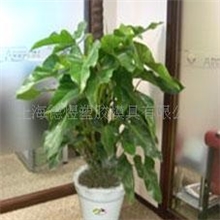 白色塑料小花盆室内绿植物花盆