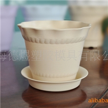 维罗纳品牌杏色花盆迷你可爱花盆环保花盆塑胶花盆花盆批发