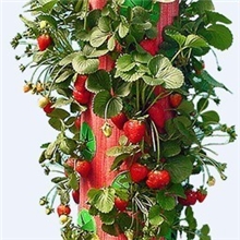 吊挂种植袋、草莓PE种植袋、深圳园艺种植袋厂家