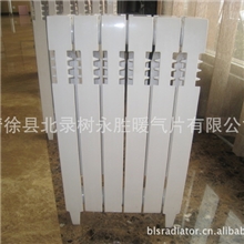 供应铸铁暖气片倒流600