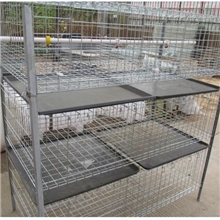 出口标准生产育雏鸡笼镀锌小鸡笼育雏育成两用鸡笼4组起批