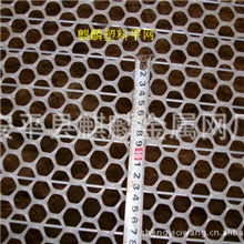 PE塑料平网|塑料养殖平网批发