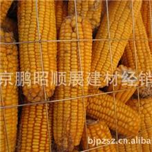 装玉米网，圈玉米网，粮仓用电焊网