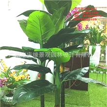 办公室客厅装饰仿真植物人造树仿真万年青/芭蕉树/绿萝批发