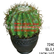 广州仿真植物批发仙人树仙人掌沙漠植物仙人球19、29、39cm