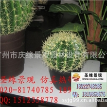 家居创意仿真绿植盆栽多肉仿真植物墨西哥仙人球19、29、39cm