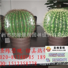 橱窗摆饰仿真植物热带沙漠多肉植物墨西哥仙人球19/29/39cm