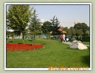 供应园林工程小品花卉景观苗木鲜花盆景租赁护养