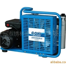 供应全新微型便携式高压空气压缩机LYX100