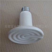 供应【厂家批发】远红外灯，汗蒸房专用远红外灯(图)