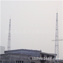 专业生产定制供应避雷针钢结构避雷塔防雷电设备