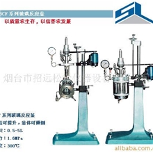 供应可视石英玻璃反应釜