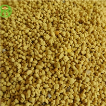 天然花粉油菜花粉批发花粉