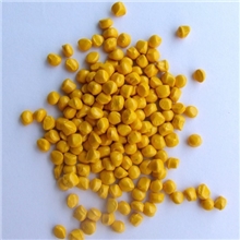 彩色母黄色母/黄种鲜黄种红/黄/蓝/绿/橙色母厂家直销可订做