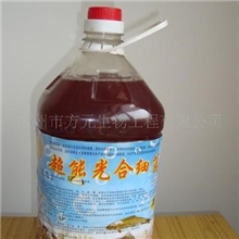 光合细菌液体菌种