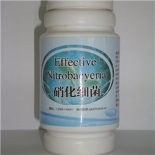 售水族用硝化菌