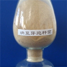 供应纳豆芽孢杆菌原粉