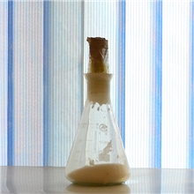 高效清洁燃料车用甲醇汽油甲醇添加剂