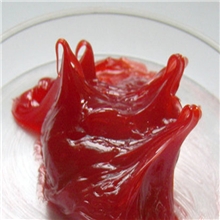 【直销】高温润滑脂,红色高温脂,耐高低温密封轴承脂,高温硅油脂