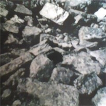 鄂尔多斯中块煤